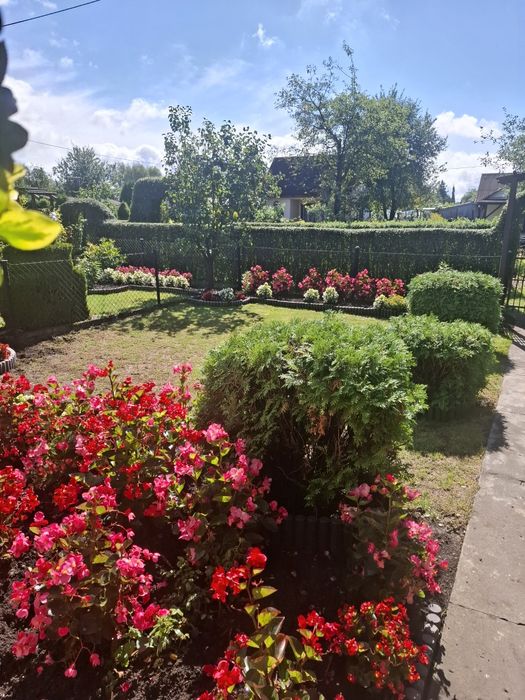 Działka pod jarzębina Tychy