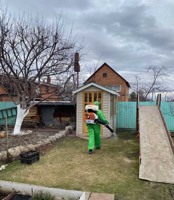 Травля тараканов срочно дезинсекция от тараканов уничтожение тараканов