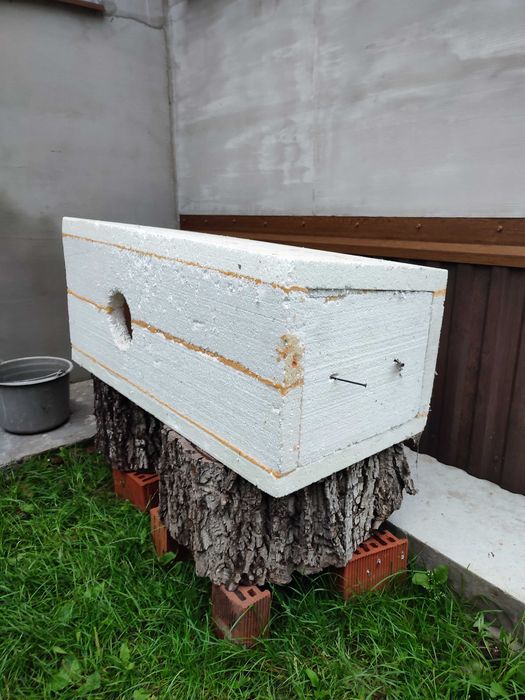 Будинок для кішок