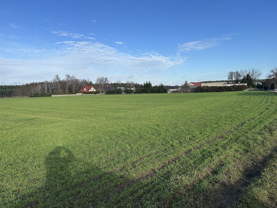 Sprzedam działki - Widok 3