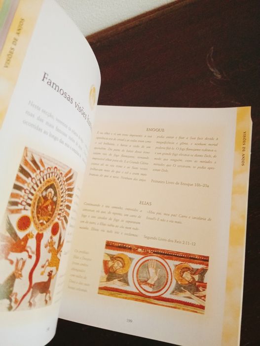 Livro Bíblia dos Anjos