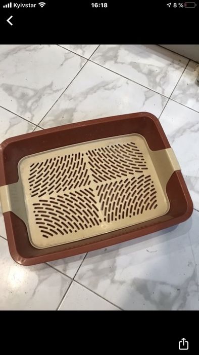 Туалет для вашего питомца, Италия