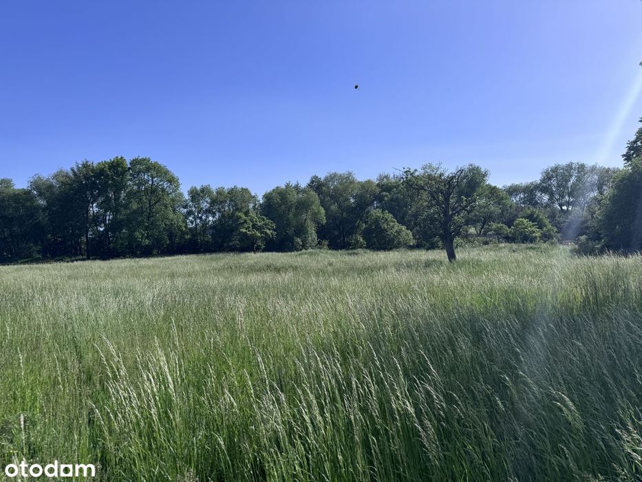 Wolnostojący dom z dużym potencjałem i  działką 640 m² w wsi
