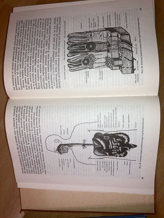 Anatomia Człowieka Repetytorium Bochenek, Anatomia Janiny Pituchowej