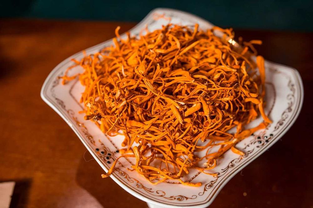 ЕЖОВИК   Їжовік Єжовік гребінчастий герициум іньші гриби