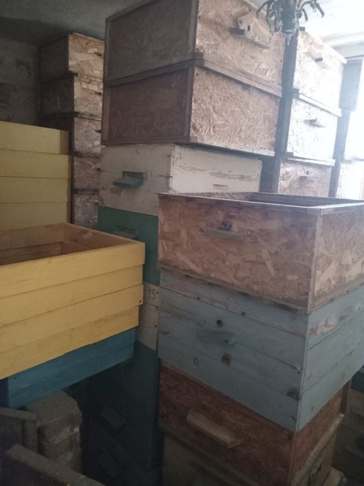 Продам пасеку со всем оборудованием .Розгляну