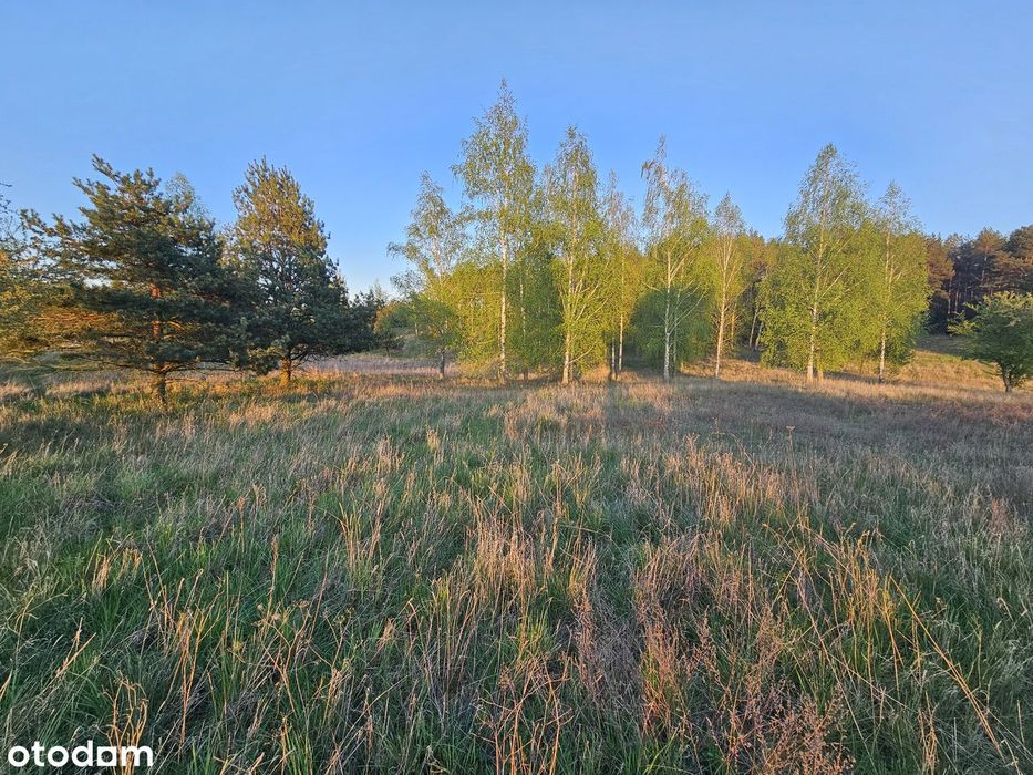 Działka Śniardwy 30 arów 3000 m² Kwik Pisz Mazury - Widok 3