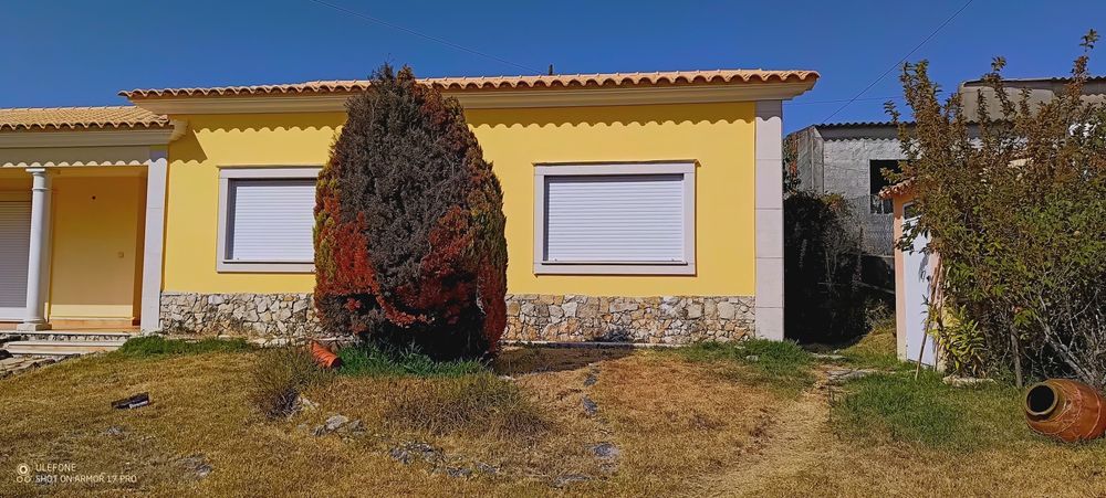 Pintor profissional