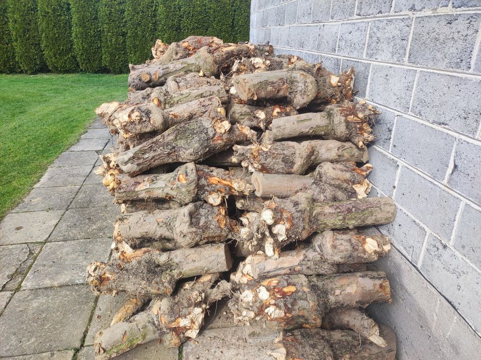 Drzewo na opał jabłoń i trochę jodły