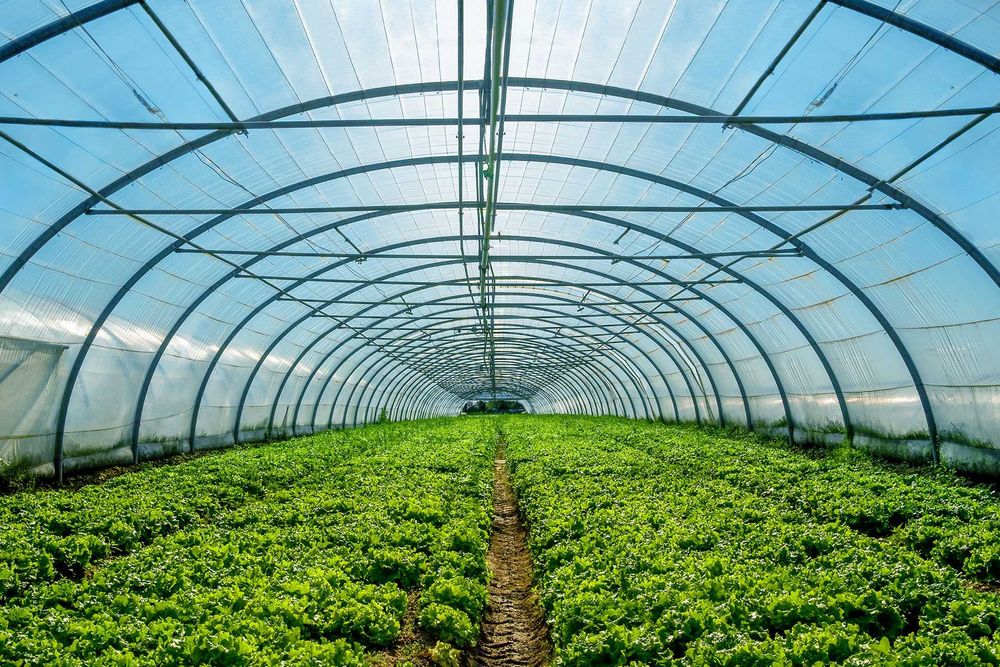 Професійна Багатошарова Теплична плівка до 5 років/ОПТ та на Метраж