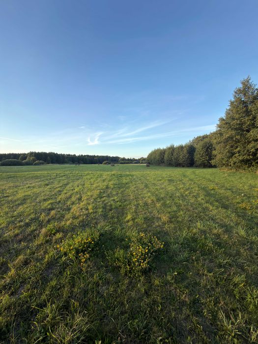 Działki Grabniak - sąsiedztwo dwóch jezior, idealne na domek letniskowy / holenderski! - Widok 3