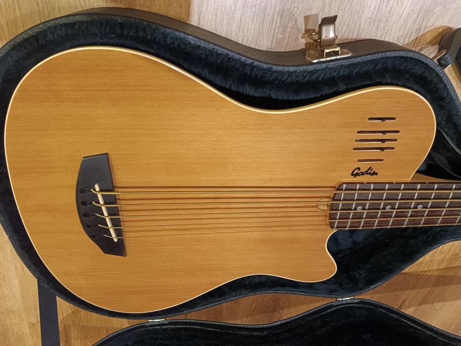 Godin A5 gitara basowa semi acoustic