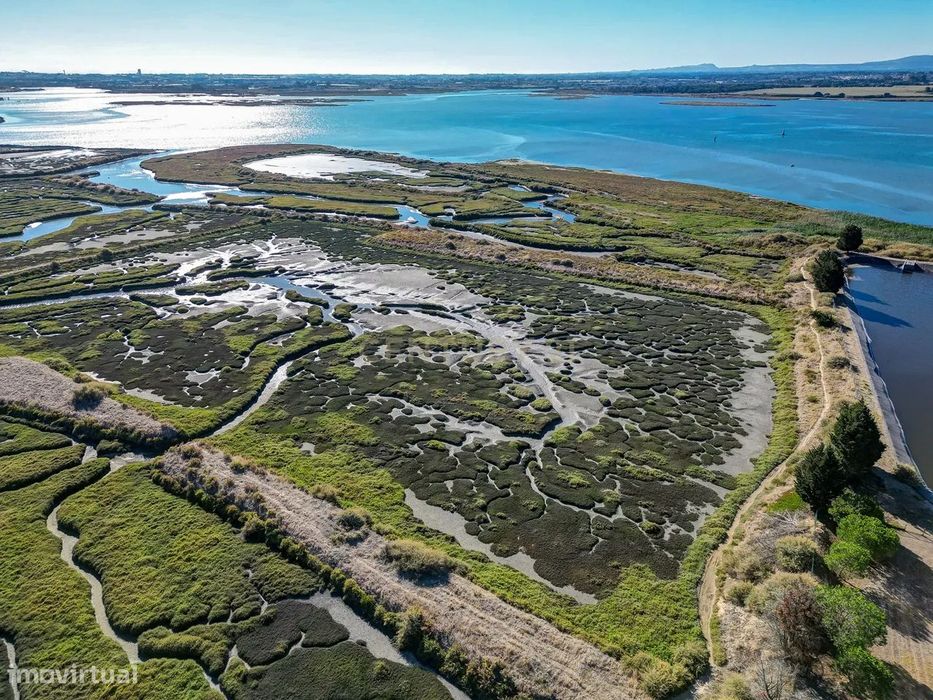 Terreno 20,18ha, Montijo - Seixalinho, para actividades de piscicultur