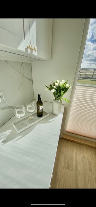 9-11.01 wolne balia sauna 4 sypialnie domek do wynajęcia kaszuby