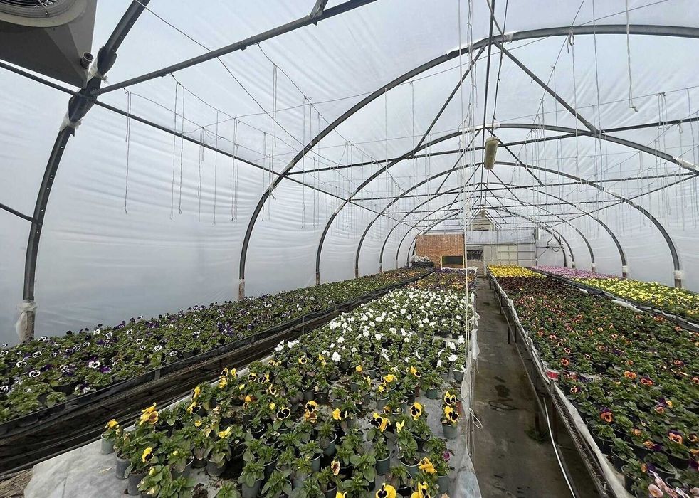 Продаж комерційного приміщення в Яришівці