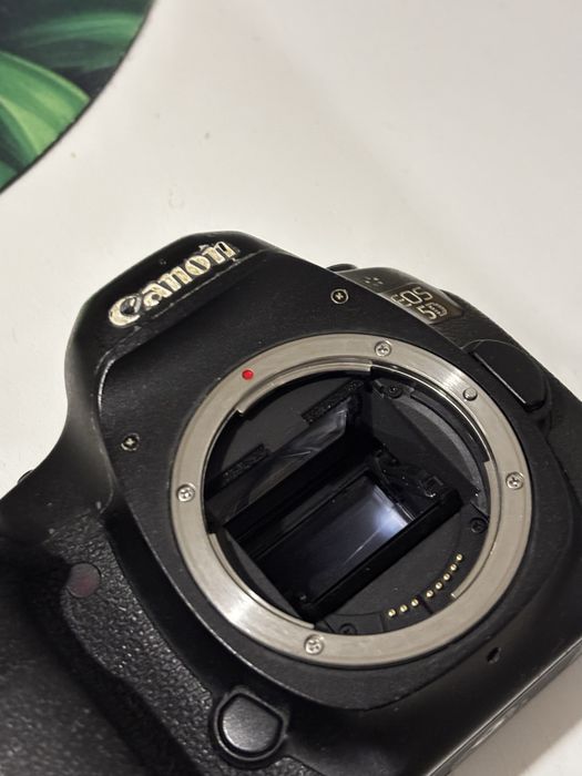 Canon EOS 5D Mark III
