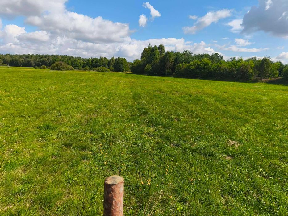 Działka rekreacyjna przy lesie | Pisa 300 m | Kurpie Zielone | WZ - Widok 2