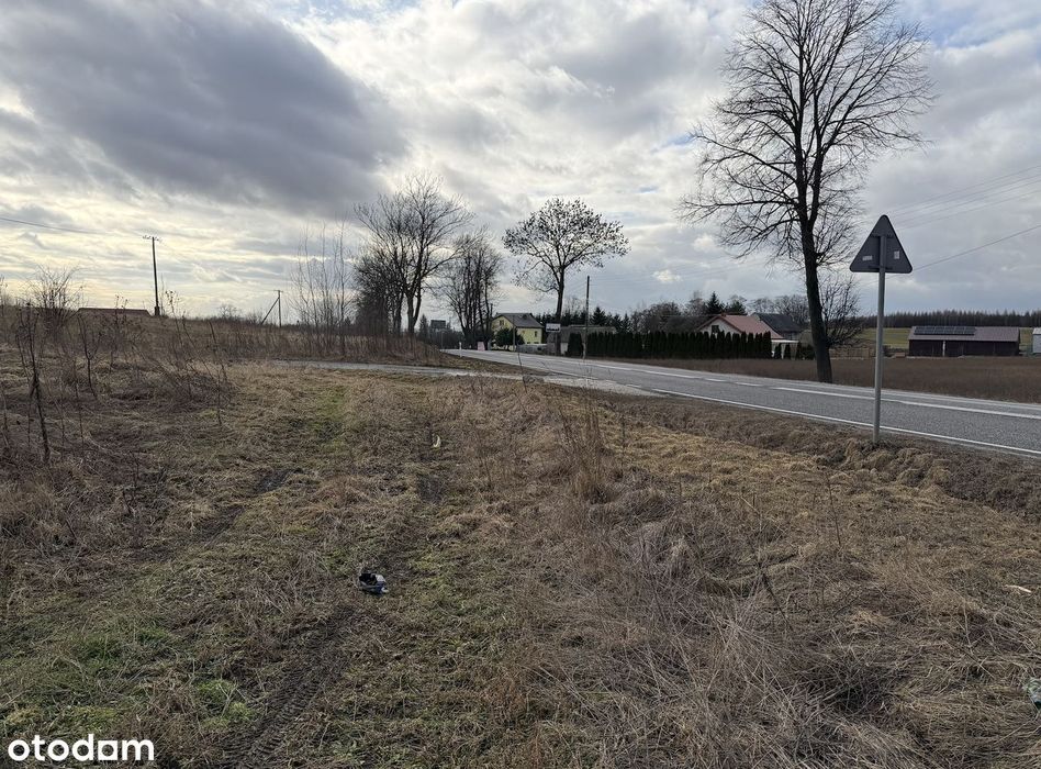 Teren inwestycyjny 3,87 ha ( pozwolenie na budowę, MPZP ) - Widok 3