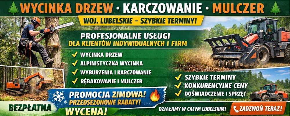 Wycinka drzew, karczowanie działek, odśnieżanie placów i dachów!