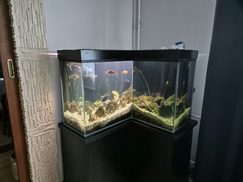 Sprzedam akwarium