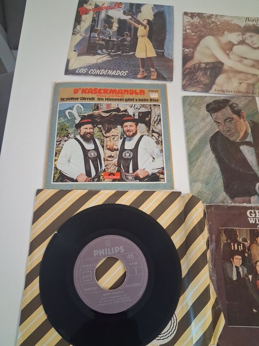 Lote Discos de vinil