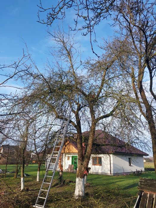 Usługi budowlane ogrodnicze, prace ziemne, wycinka drzew/krzaków rębak