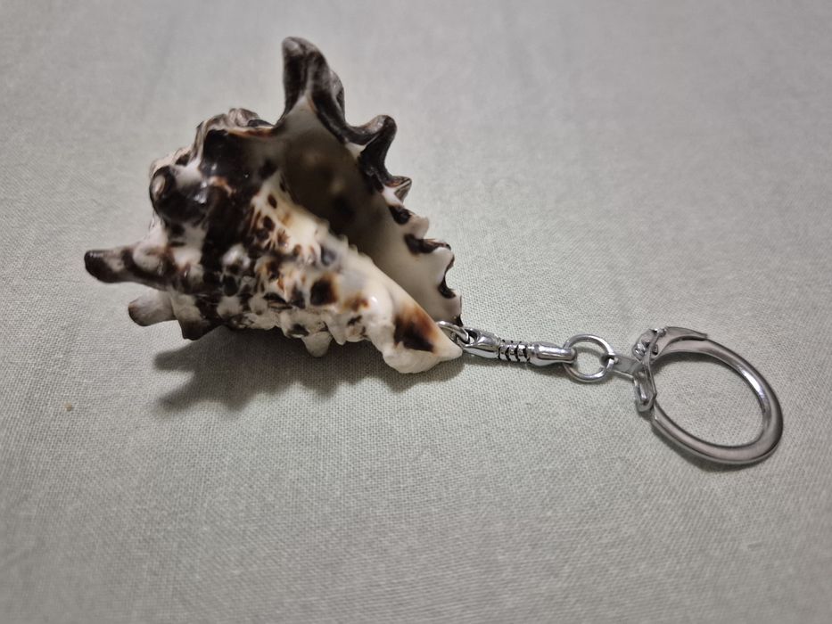 Брелок из морской ракушки, ракушка, морская ракушка