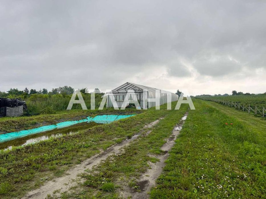 Продаж готового бізнесу з садівництвом м. Жовква