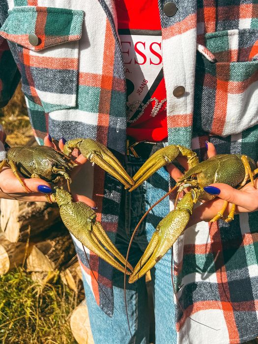 Живі та варені Раки в наявності.