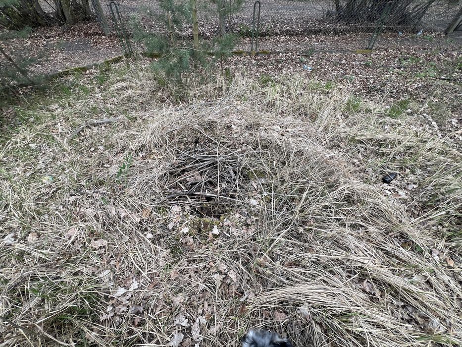 Działka ROD Plon 315 m2