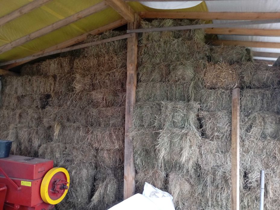 Продам сіно в тюках