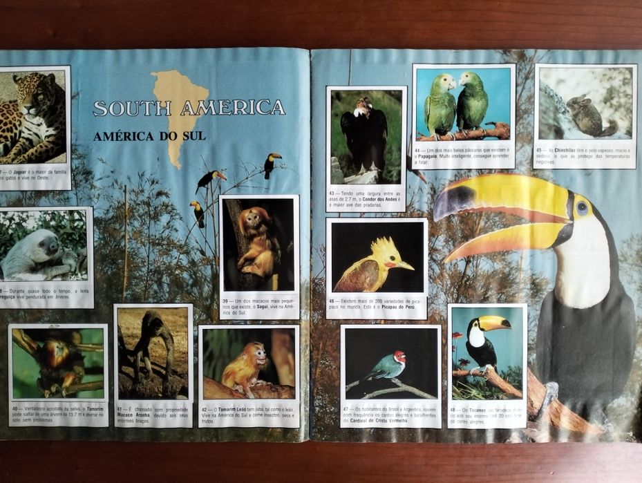 Caderneta Animals of the World' Panini