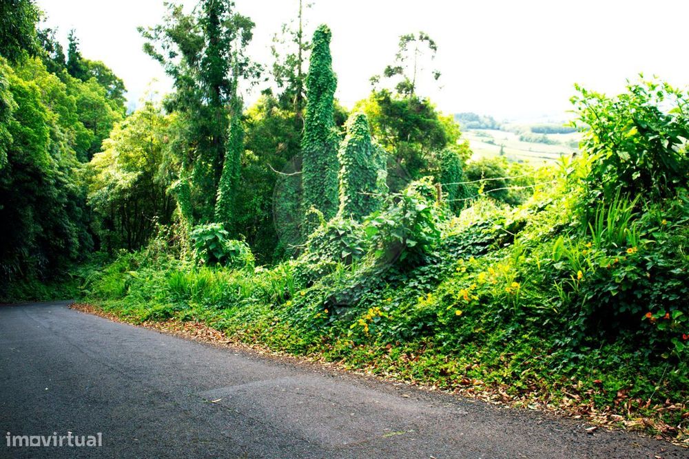 Terreno  para venda