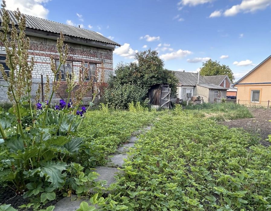 Продам будинок з великою територією