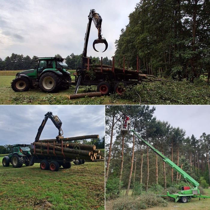 Wycinka Drzew. Prace Ogrodnicze. Pielęgnacja Ogrodów.