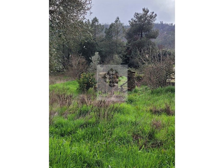 Land Plot in Village Near Vila Velha de Rodão