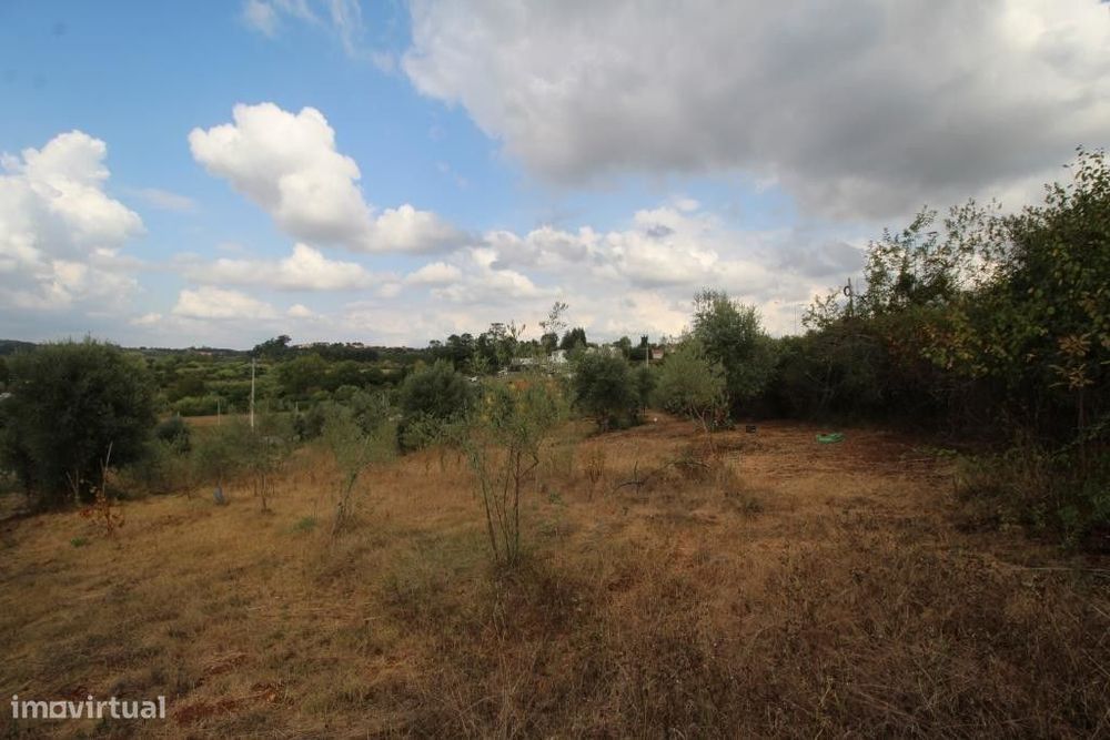 Plot of Land, Coimbra, Cernache