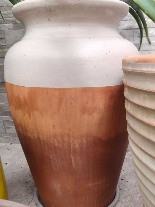 Vaso bicolor Aloe Vera Decoração