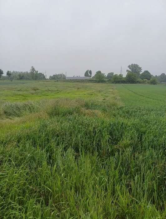 Sprzedam działkę budowlaną-RUSZOWICE