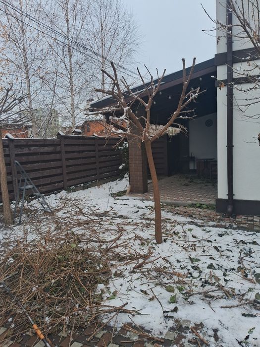 Спил, обрізка плодових, розпил дров