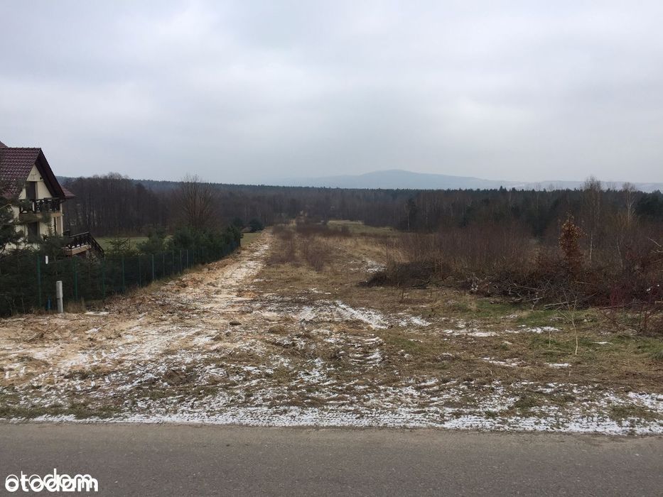 Klonów - piękne działki widokowe