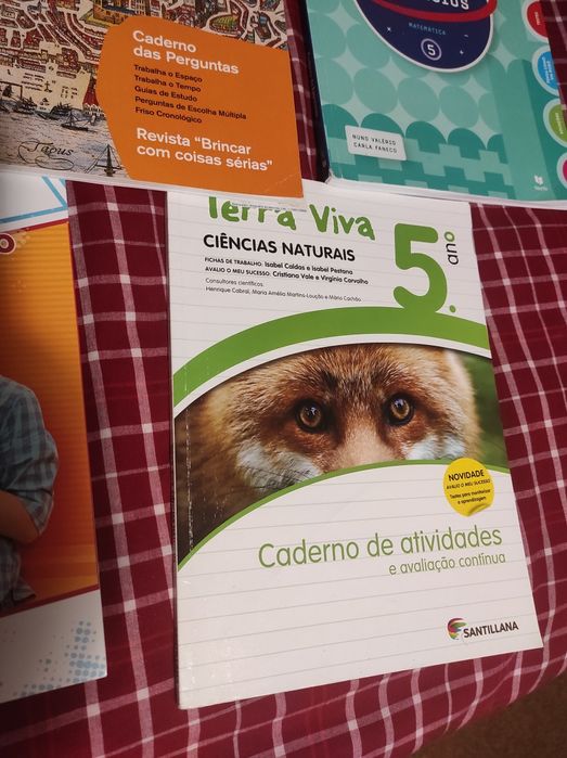 Vendo livros fichas 5 ano