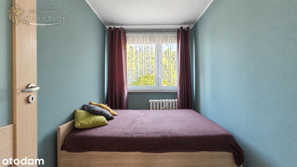 Las za oknem | 3 pokoje | Gliwice Łabędy