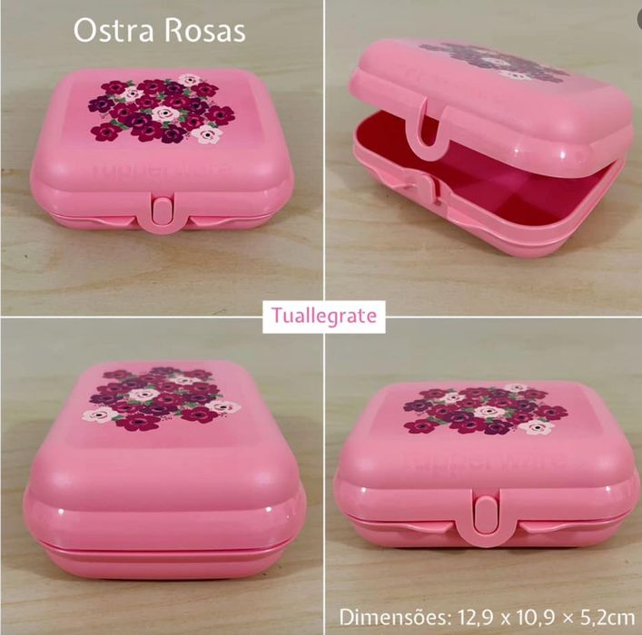 Caixa Ostra Rosas Tupperware428625373955379203