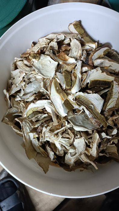 Сушені білі гриби Закарпаття