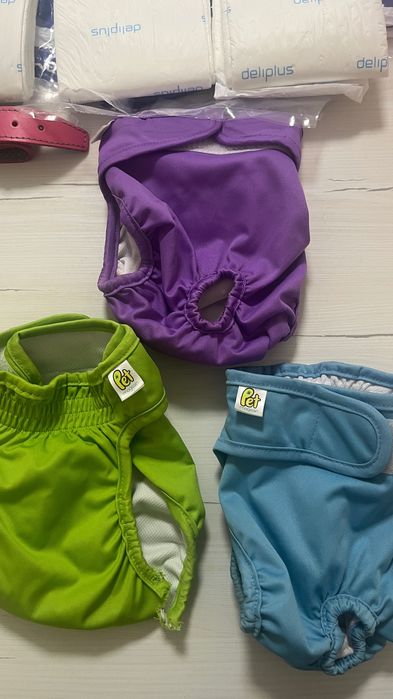 Conjunto para Cães | Acessórios+Higiene|Trela, Coleira, Fraldas & Mais