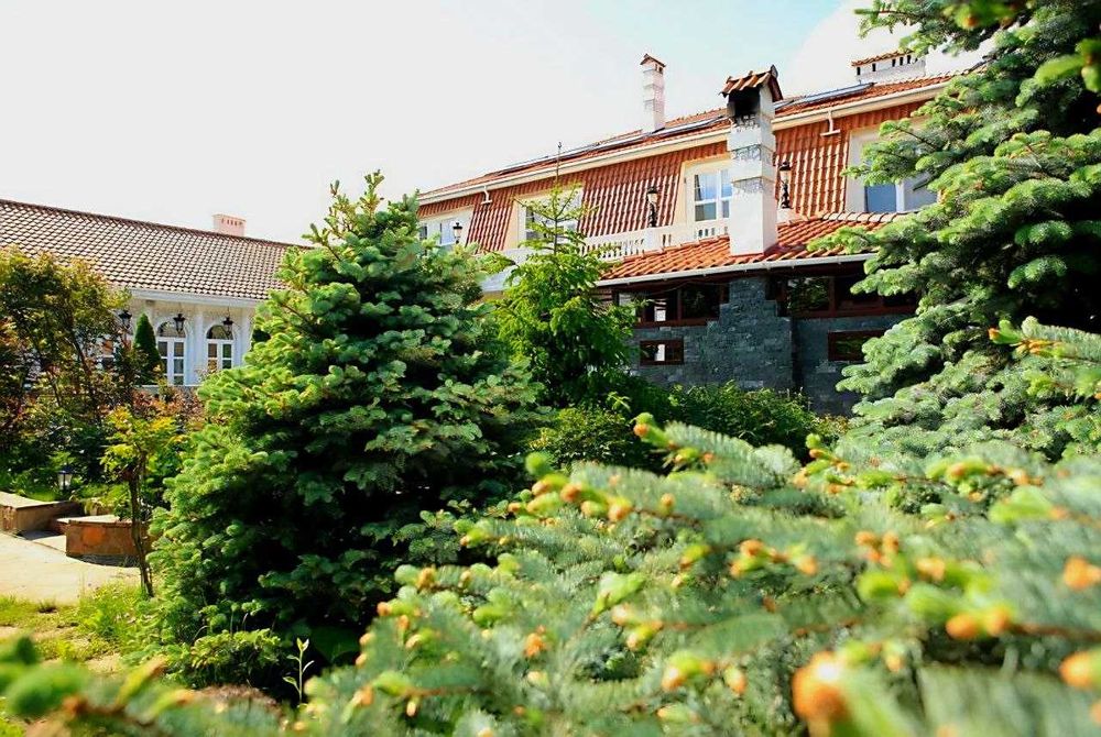 Роскошная VILLA на 20 сотках 1400 кв.м 10 спален  СОВИНЬОН