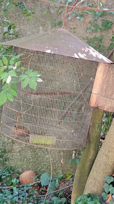 Gaiolas para aves