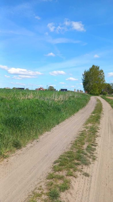Działka rolna, uprawiana. Zaledwie 9 km od rogatek Szczecina