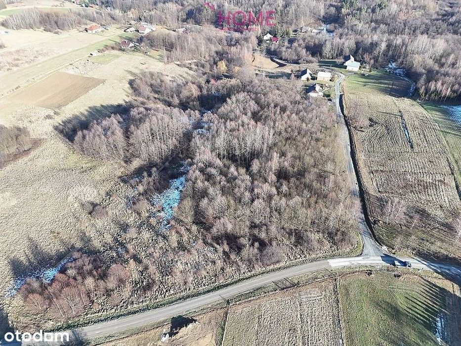 Działka na sprzedaż 94a - Nowy Borek - Widok 5